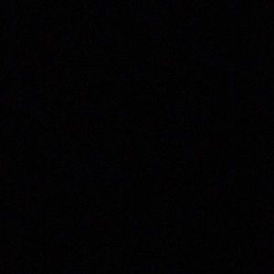 Meet your Posher, Carmen